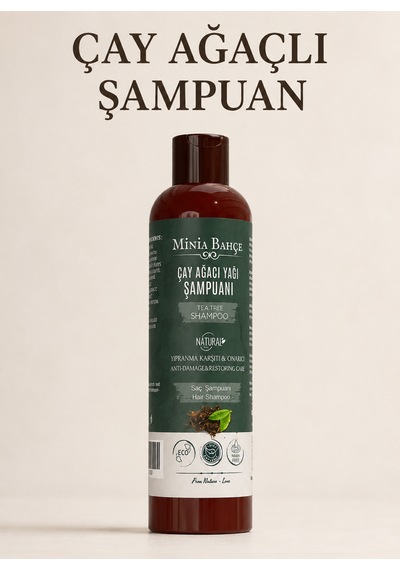 Çay Ağacı Şampuan Çay Ağacı, Isırgan Otu Ve Buğday Proteini İçeren Saç Ve Saç Derisi Bakım Şampuanı, 400 Ml Kepekli - Yağlı