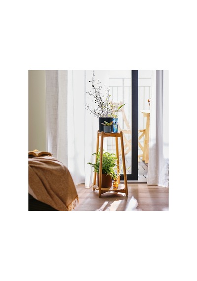 Daksjus Çiçeklik, Bambu 12252112