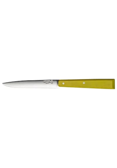 Opinel Bon Appetit Ahşap 4'lü Biftek Kamp Bıçak Seti Çok Renkli