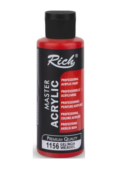 Rich Akrilik Boya Master 120 Cc Gelincik 120-1156 Çok Renkli