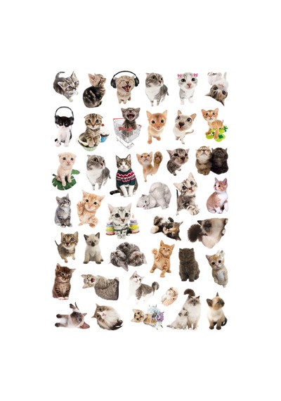 41 Adet Sevimli Kediler Sticker Seti - Etiket Seti Scrapbook Bullet Journal Çok Renkli