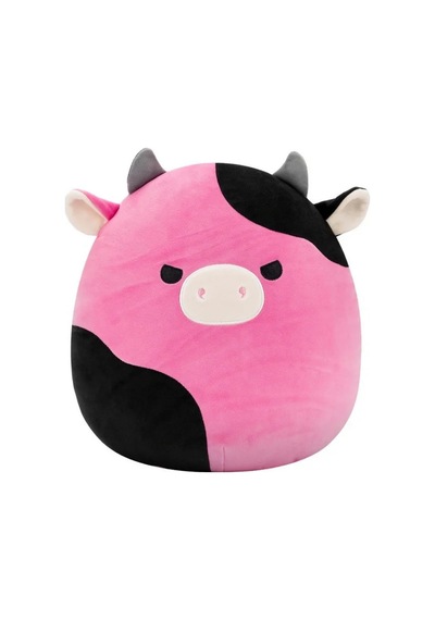 Squishmallows 30 Cm Seri F Asorti Çok Renkli