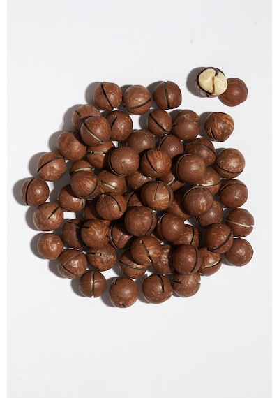 Kabuklu Kavrulmuş Makademya Fındığı 250 Gram 250 G