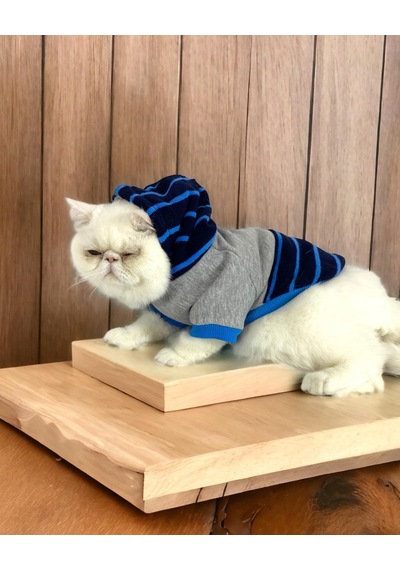 Kemique Blue Line Kapşonlu Kedi Kıyafeti Kedi Sweatshirt