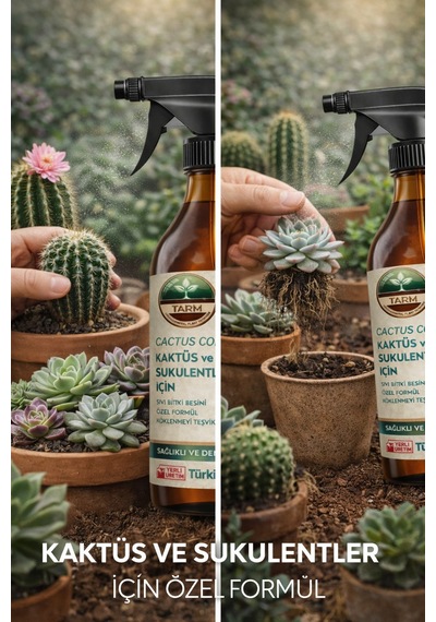 Tarm Cactus Core Sprey - Kaktüs Ve Sukulent Bitki Besini 500 ML