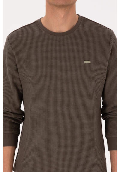 U.S. Polo Assn. Erkek Bisiklet Yaka Regular Fit Petek Dokulu Vizon Sweatshirt 50316304-VR052