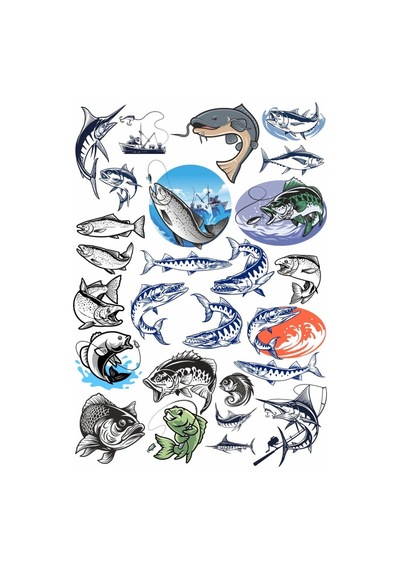 Balıkçılık Ve Balık Sticker Set 1