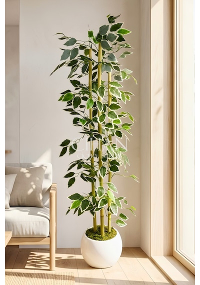 Yapay Alacalı Ficus Ağacı 3 Bambulu 110 Cm 27 33 Beyaz Küre Saksılı