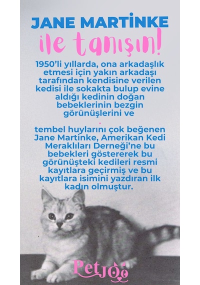 Petjoo 5.Jane Martinke Pembe-Mavi Qr'lı Kedi Künyesi