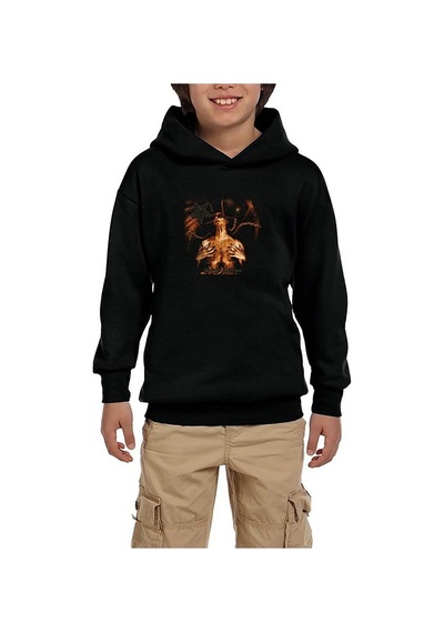 Zepplin Giyim Dark Funeral Diabolis Interium Siyah Çocuk Kapşonlu Sweatshirt Siyah