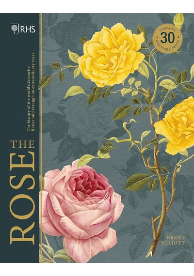 Rhs The Rose: The History Of The World's Favourite Flower İn 40 Roses