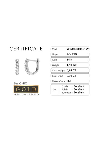 Beyaz Altın Sertifikalı Premium Created Taşlı Yarım Halka Küpe Beyaz Altın