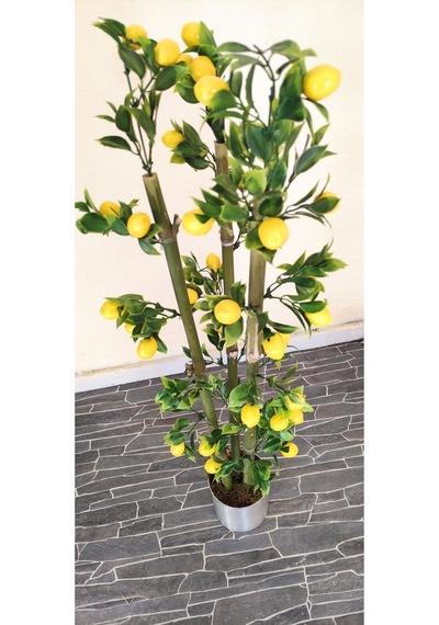 Rüzgar Çiçekcilik 1 Metre Limon Mandalina Nar Set Limon
