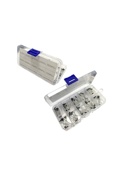 Electroon 100adet 10 Çeşit Kutulu Diyot Set