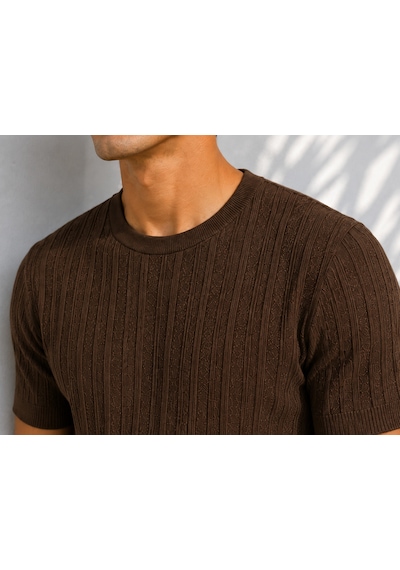 Ribana Erkek Bisiklet Yaka Kısa Kollu Esnek Örme Triko T-shirt 26091 Kahverengi