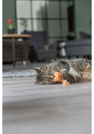 Kuyruklu Ejderha Başı Kedi Oyuncağı Kedi Otlu