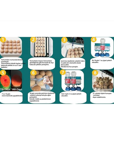 130 Yumurta Kapasiteli Tam Otomatik Kuluçka Makinesi