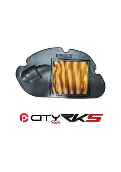 Rks Vps 125 Hava Filtresi Ct1351