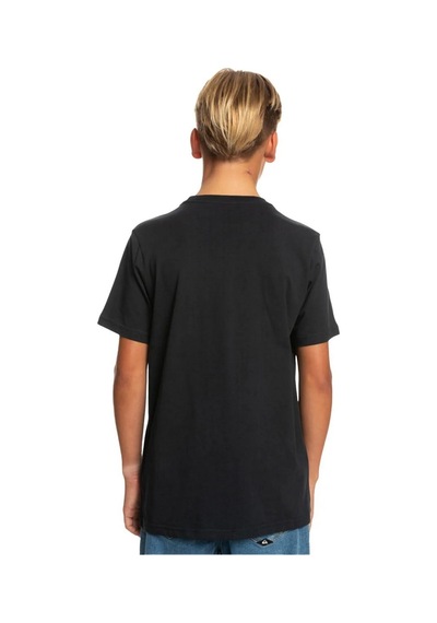 Quiksilver Eqbzt04369 Comp Logo Ss Yth Erkek Çocuk Tişört 001