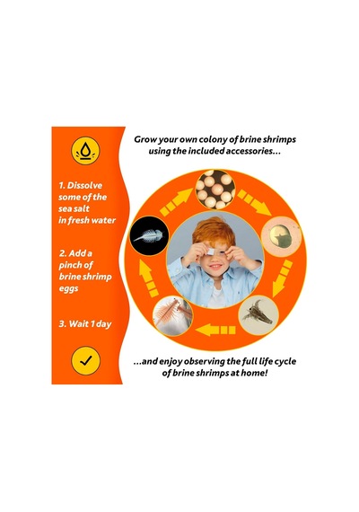 Labzz M101 Orange/portakal Mikroskop Türkçe Baskısı