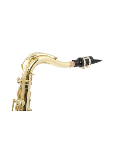 Roy Benson Ts-302 Tenor Saksafon