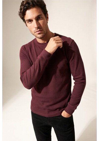 Jsco Erkek Mor 6210 0 Yaka Basic Waffle Sweatshirt