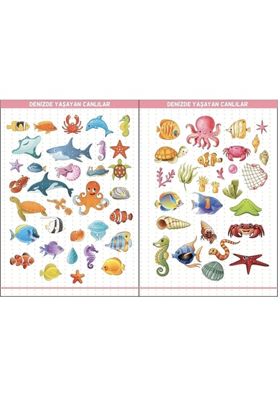 Eğitim Etiketleri Denizde, Havada, Karada Yaşayan Canlılar Figürler, 135 Adet Opak Sticker Renkli