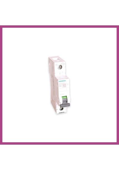 Gees Global C50 1 Kutuplu N-otomat 1 Adet Gbzs Çok Renkli