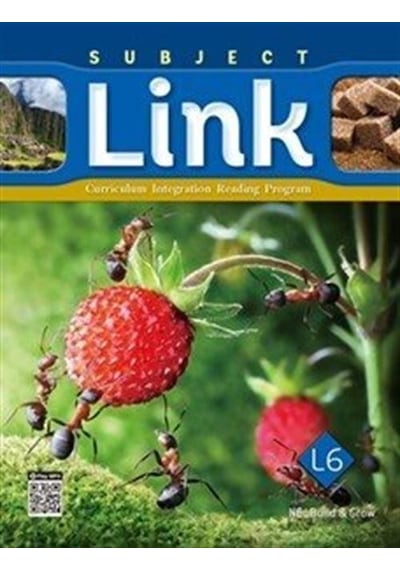 Subject Link L6 / Patrick Ferraro