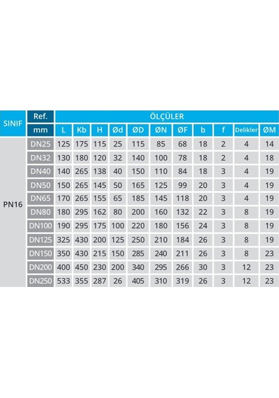 Dn20 Paslanmaz 2 Prç. Flanşlı Küresel Vana 316