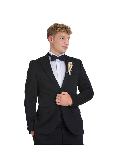 Hatemoğlu Siyah Slim Fit Çıkma Sivri Yaka Klasik Damatlık 34558 Siyah