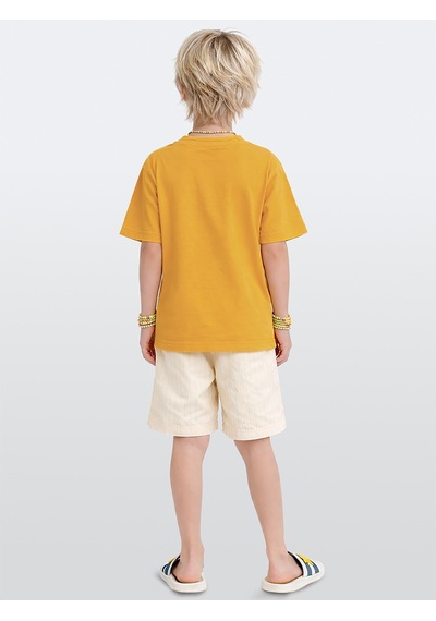 Denokids I Can Erkek Çocuk T-shirt Şort Takım Çok Renkli
