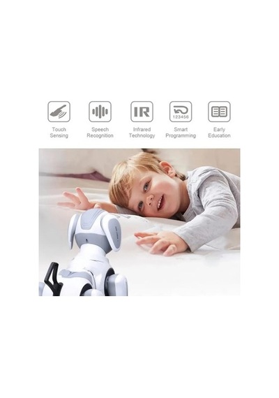 Uzaktan Kumandalı Programlanabilir Robot İle Eğlence