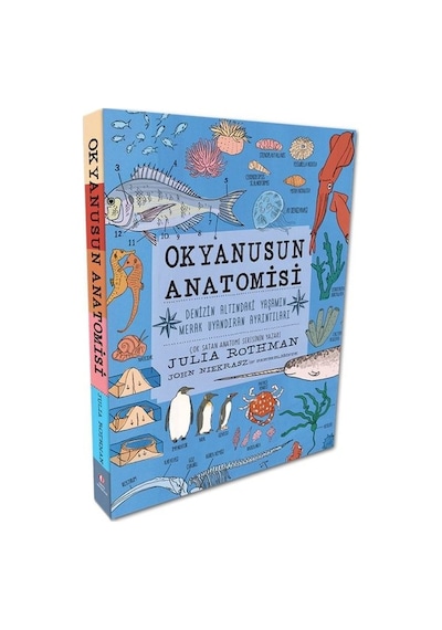 Okyanusun Anatomisi - Denizin Altındaki Yaşamın Merak Uyandıran Ayrıntıları - Julia Rothman - ODTÜ Yayıncılık