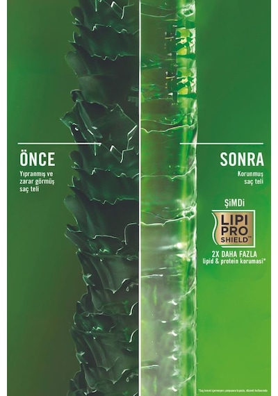 OGX Biberiye & Nane Arındırıcı Sülfatsız Şampuan 385 ml