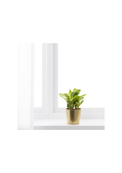Ikea Daıdaı Çelik Saksı, Pirinç Rengi