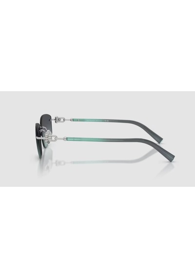Tiffany 0tf3114 60012g 59 Unisex Güneş Gözlüğü Siyah