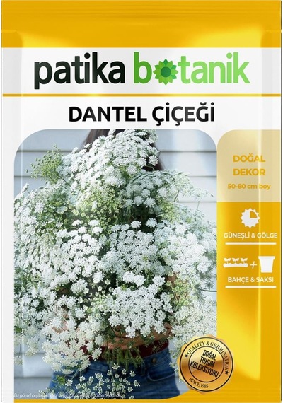 50 Adet Dantel Çiçeği Tohumu