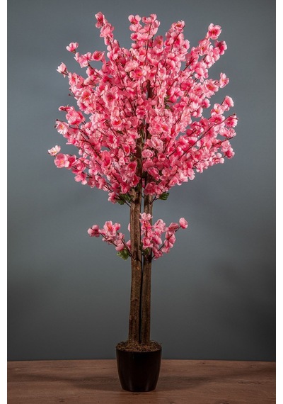 120 Cm Pembe Bahardalı Ağacı