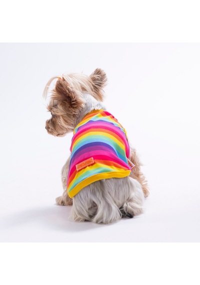 Rainbow Tişört Kedi Köpek Tişörtü-kedi Köpek Kıyafeti