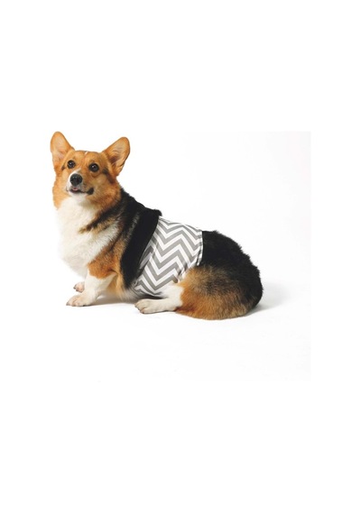 M-pets Erkek Köpekler İçin Yıkanabilir Külot Xs 10169399