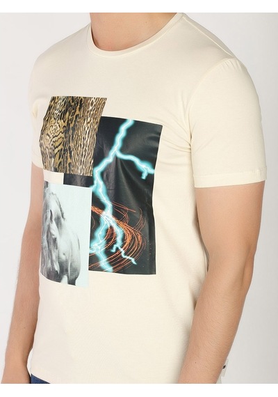Roberto Cavalli Erkek Tshirt /M.Rob.0421.14020 - Bej