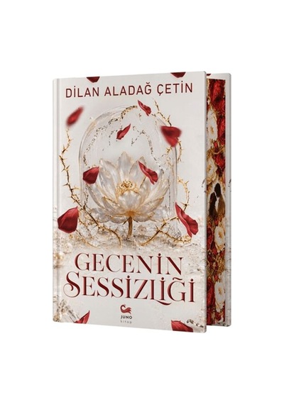 Gecenin Sessizliği - Aıaı-898666