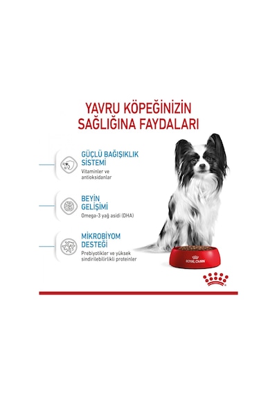 Royal Canin X-Small Puppy Küçük Irk Yavru Köpek Maması 3 KG