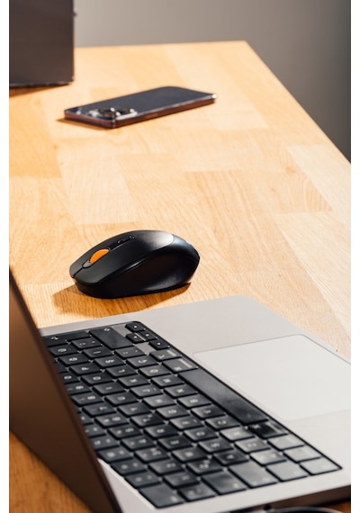 Everest SMW-87 Kablosuz Optik Mouse