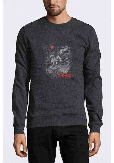 Pitbull Urban Baskılı Füme Antrasit Erkek Örme Sweatshirt