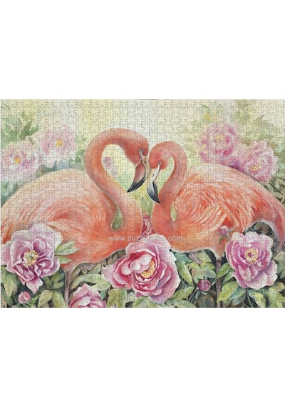 Nova 41104 İki Aşık Flamingo Puzzle - 1000 Parçalı