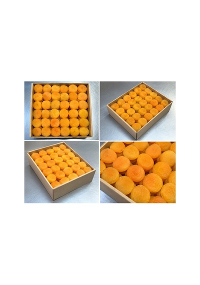 Kayısı Malatya Yeni Mahsül 1 Kg Diğer