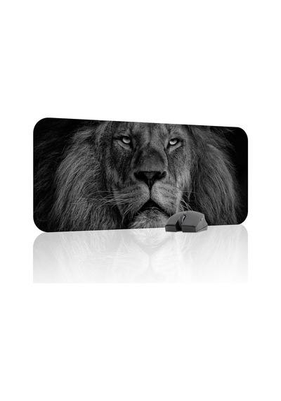 Aslan Oyuncu Gaming Mouse Pad Kauçuk Kaymaz Taban Mousepad V4, 70x30 Xl