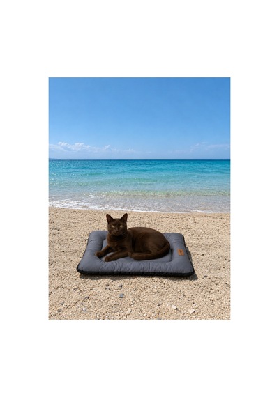 Kedi Ve Köpek Yer Minderi Outdoor Su Geçirmez Üst Kalite Tüy Ve Leke Tutmaz Boncuk Elyaf Kaydırmaz Taban Kedi Ve Köpek Yatağı Gri 1615632745